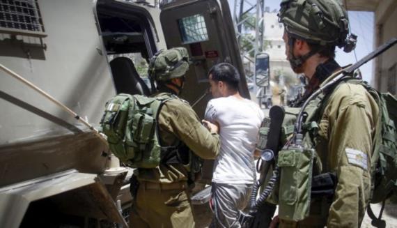 قوات العدو تعتقل 13 فلسطينيا من الضفة الغربية 