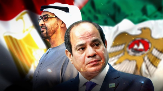 طبيعة الخلافات المصرية الإماراتية