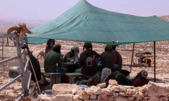 مستوطنون صهاينة يجرفون أراضي الفلسطينيين في نابلس والخليل