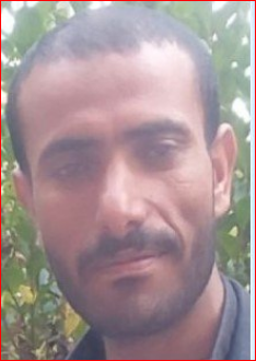 من أرض اليمن مولد النور ورسائل الانتصارات
