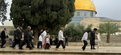179 مستوطنًا صهيونيًّا يقتحمون الأقصى ويؤدون طقوسًا تلمودية