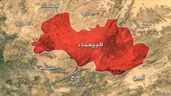 مقتل أربعة من داعش في عملية للجيش واللجان الشعبية في البيضاء
