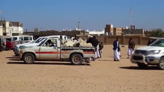 قافلة غذائية ومالية مقدمة من أبناء سحار بصعدة دعما للجيش واللجان