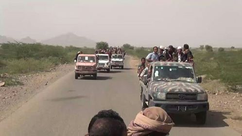 زيارات ميدانية تشهدها محافظة تعز ابتهاجاً بذكرى المولد النبوي الشريف (صور)