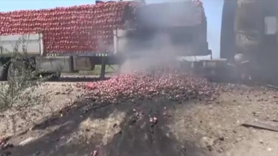 استشهاد 6 مزارعين في غارات للعدوان استهدفت مزرعة في الخوخة بالحديدة