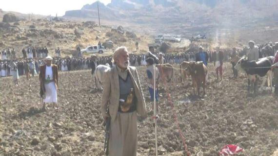 صلح قبلي ينهي قضية قتل منذ 11 عاما بين اسرتين في محافظة صنعاء