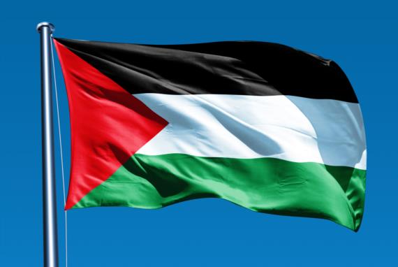 الفصائل الفلسطينية: سقوط ليبرمان تأكيدٌ على صوابية المقاومة