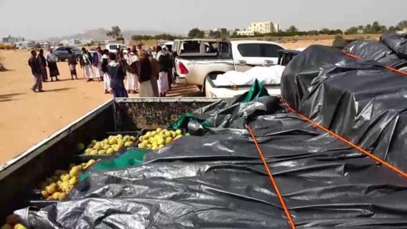 صعدة: استقبال قافلة غذائية من مديرية بني الحارث للمرابطين في الجبهات