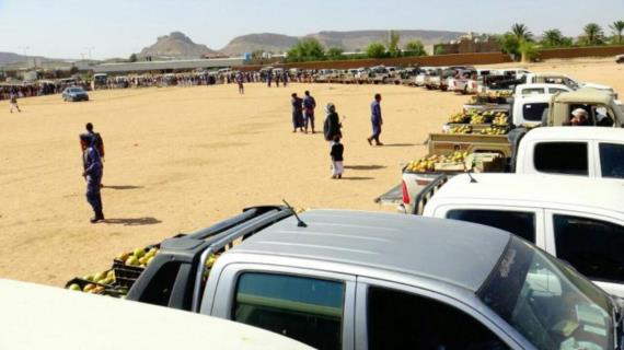 قافلة غذائية من أبناء مديرية الصفراء بصعدة دعما للمرابطين في الجبهات
