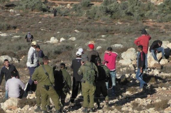 مستوطنون صهاينة يعتدون على ممتلكات الفلسطينيين في سلفيت بالضفة الغربية 