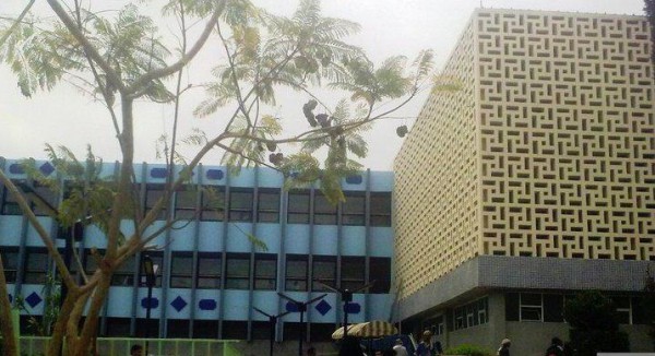 إجراء أول عملية زراعة كلى بهيئة مستشفى الثورة بصنعاء منذ بدء العدوان