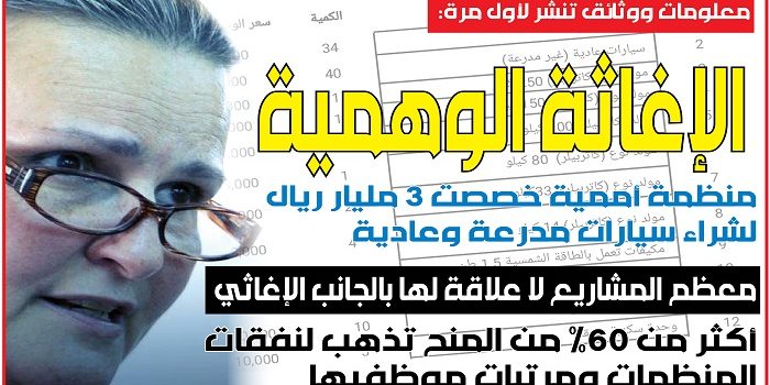 وثائق ومعلومات تكشف كيف تستولي المنظمات الأممية على مليارات المانحين