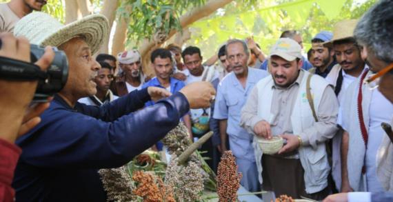 مؤسسة بنيان تنظم المهرجان الأول لحصاد محاصيل الحبوب بوادي مور