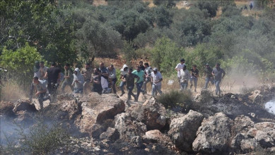 مستوطنون صهاينة يعتدون بالضرب على طفل في مسافر يطا جنوب الخليل