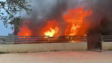 إصابة 4 فلسطينيين وإحراق غرفة زراعية بهجمات لكيان العدو ومستوطنيه في الضفة المحتلة