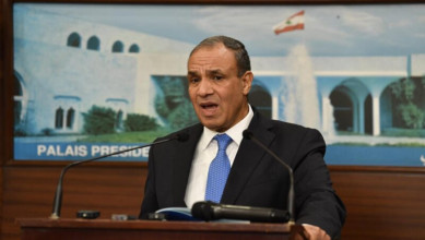 وزير الخارجية المصري: نواصل الجهود لوقف العدوان على لبنان