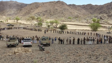 قبائل بدبدة بمأرب تؤكد الجهوزية العالية لمواجهة العدو السعودي ومرتزقته