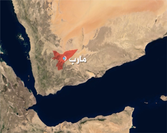 طيران العدوان يستهدف المشاركين في يوم القدس بمأرب وسقوط شهداء وجرحى 